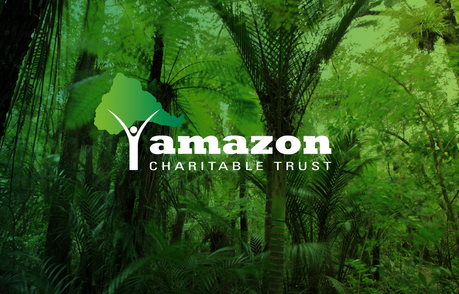 Great news from the rainforest