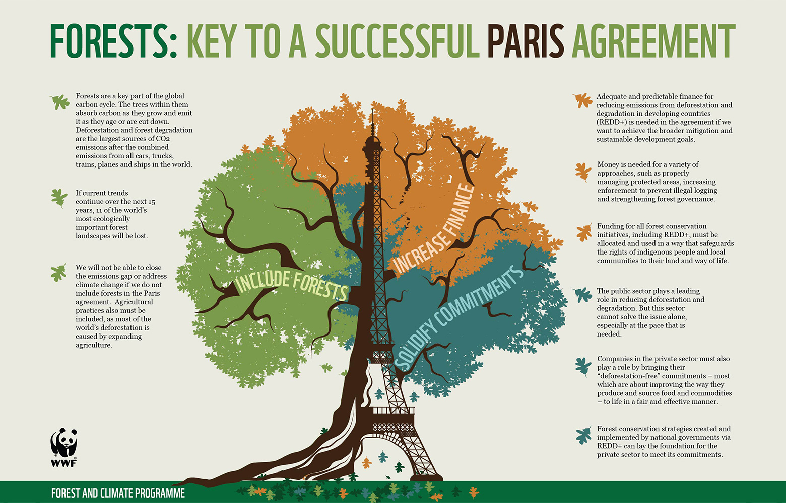Saving the world’s forests is number one priority for Global Climate Change Summit, COP21 